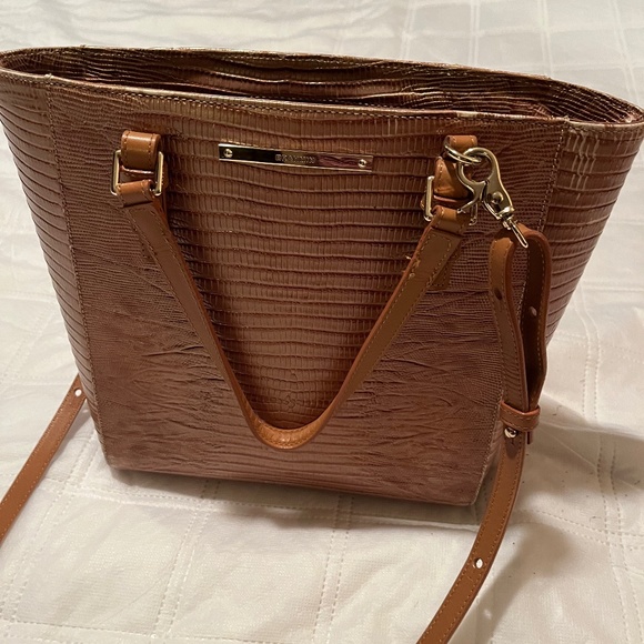 Brahmin - Picture 1 of 9